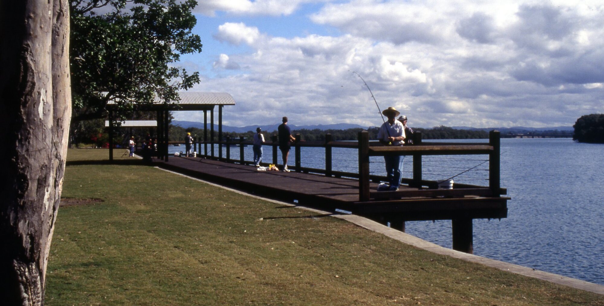 Tinchi Tamba Wetlands Reserve - Bald Hills - 1997