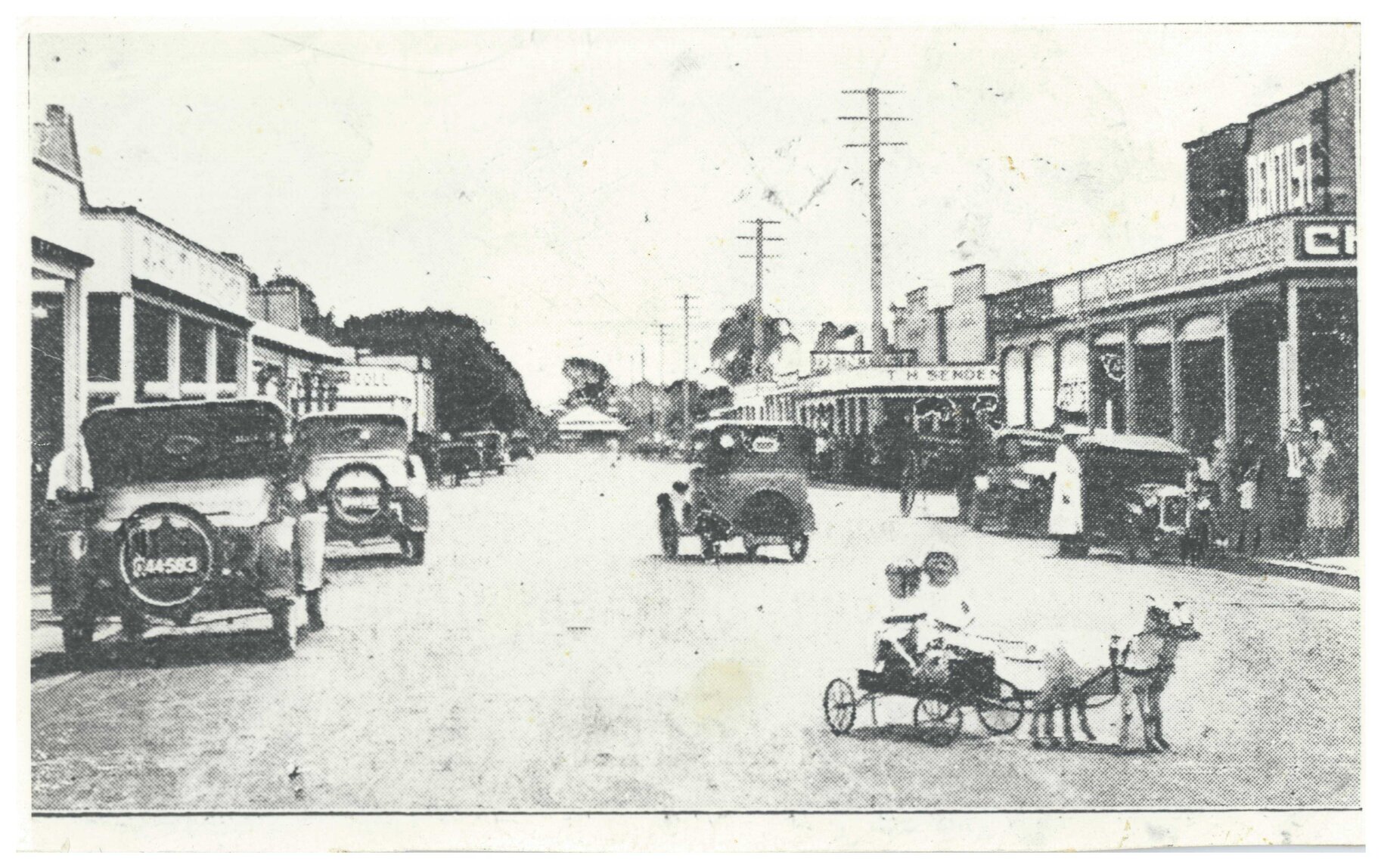 Goat cart in Bay Terrace, Wynnum - 1930
