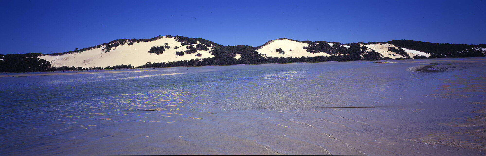 Moreton Island