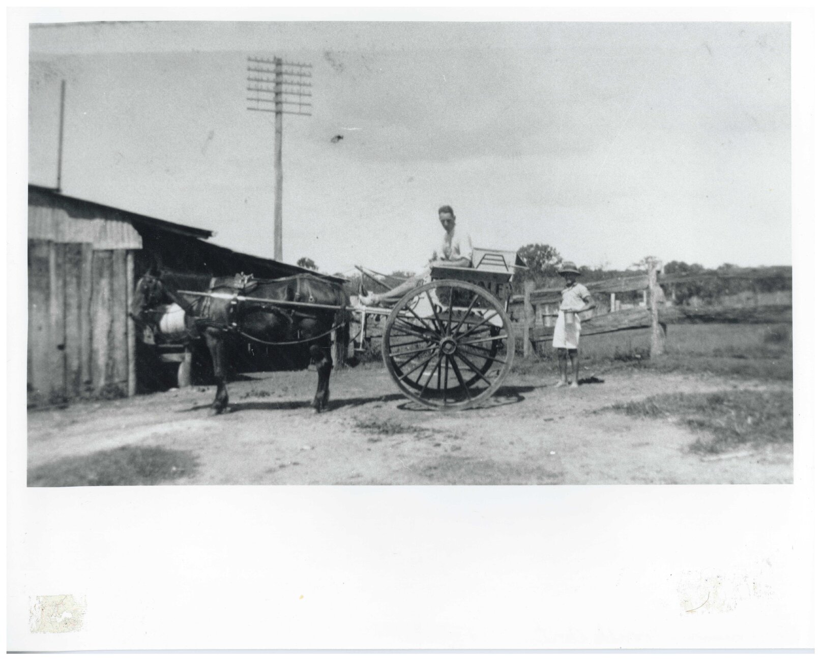 Milk delivery cart - Tingalpa c1930