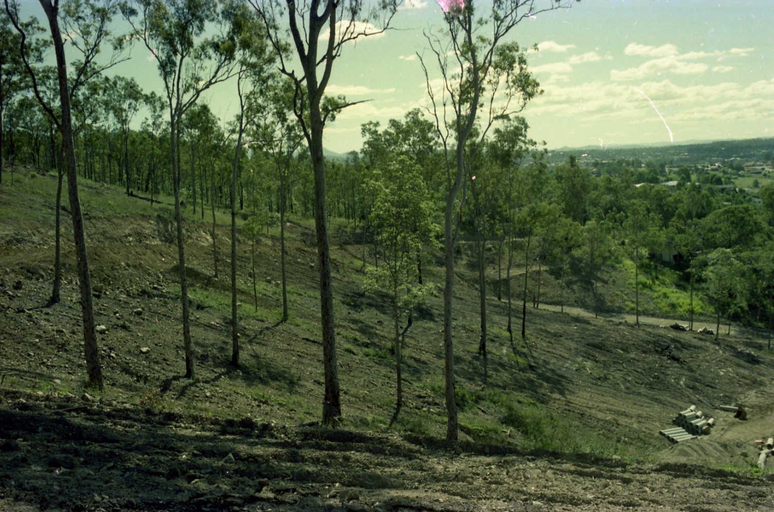 Mount Coot-tha Botanic Gardens Construction Progress 1978