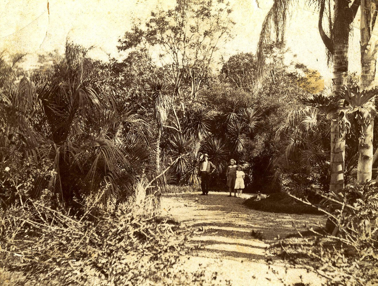 City Botanic Gardens - People Walking Along Path 1936