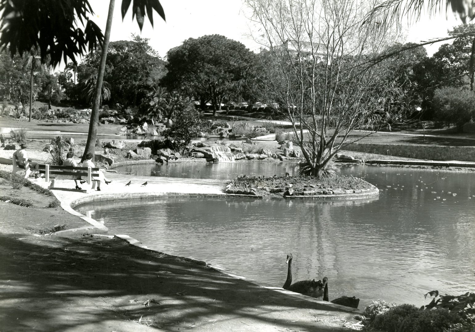 City Botanic Gardens - Lagoon and Rock Pool - 1960