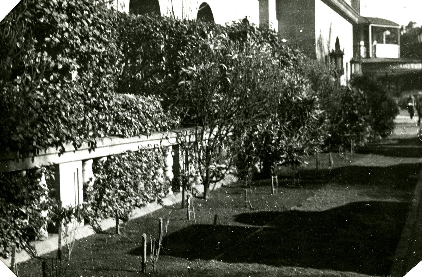 Garden in front of City Hall - King George Square - 1935