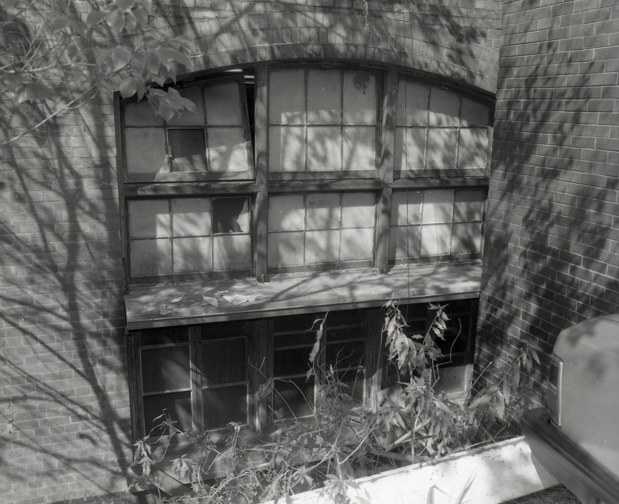 The Brisbane School of Arts Building - 1983