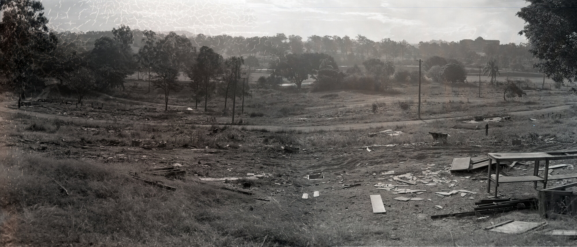 Victoria Park - Area to be planted with trees - 1959