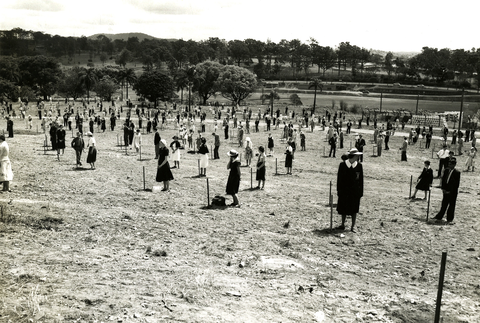 Victoria Park - Tree Planting - 1959