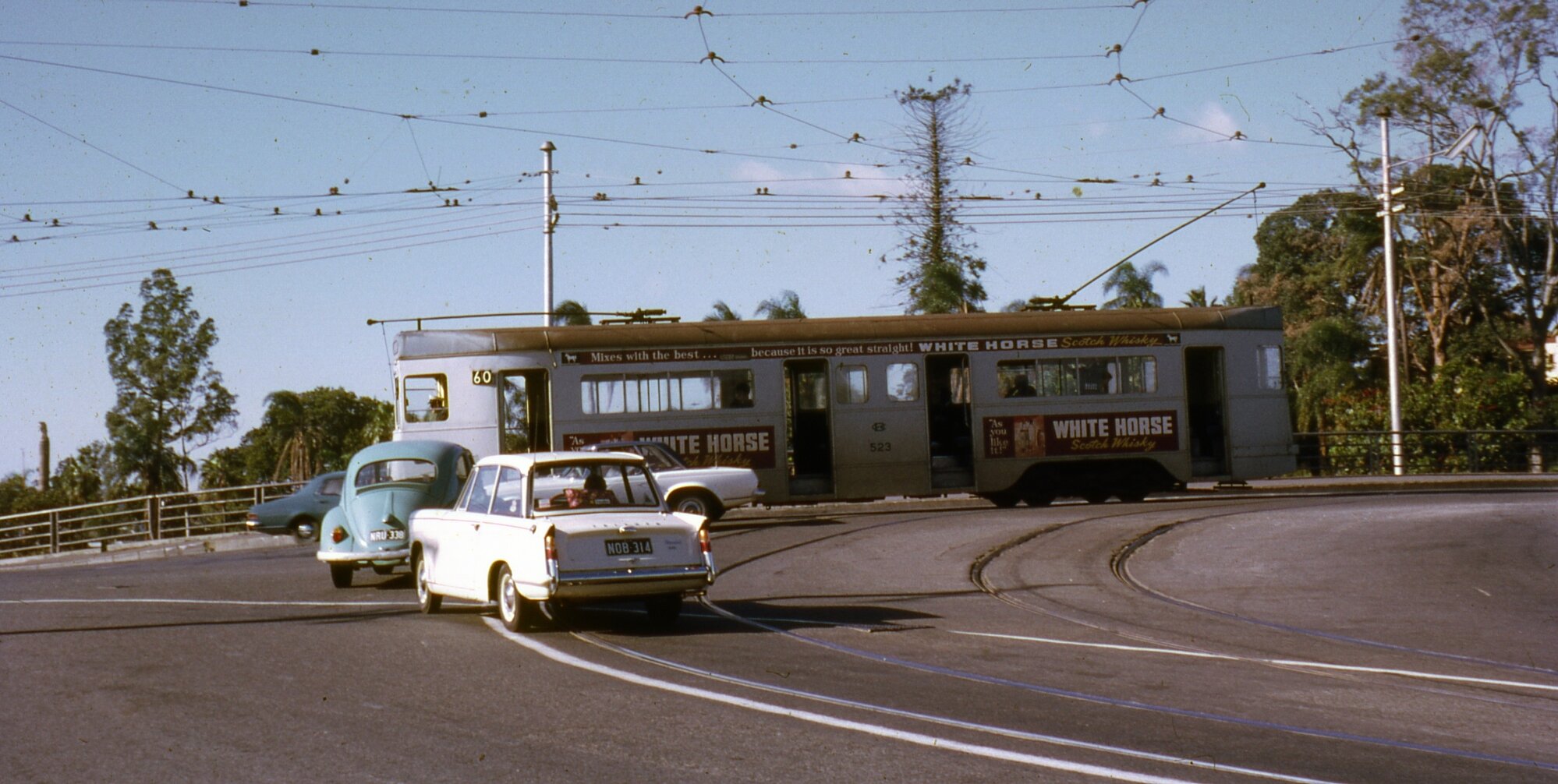 Tram Number 523 Crossing Breakfast Creek Bridge on Route 60 - 1968