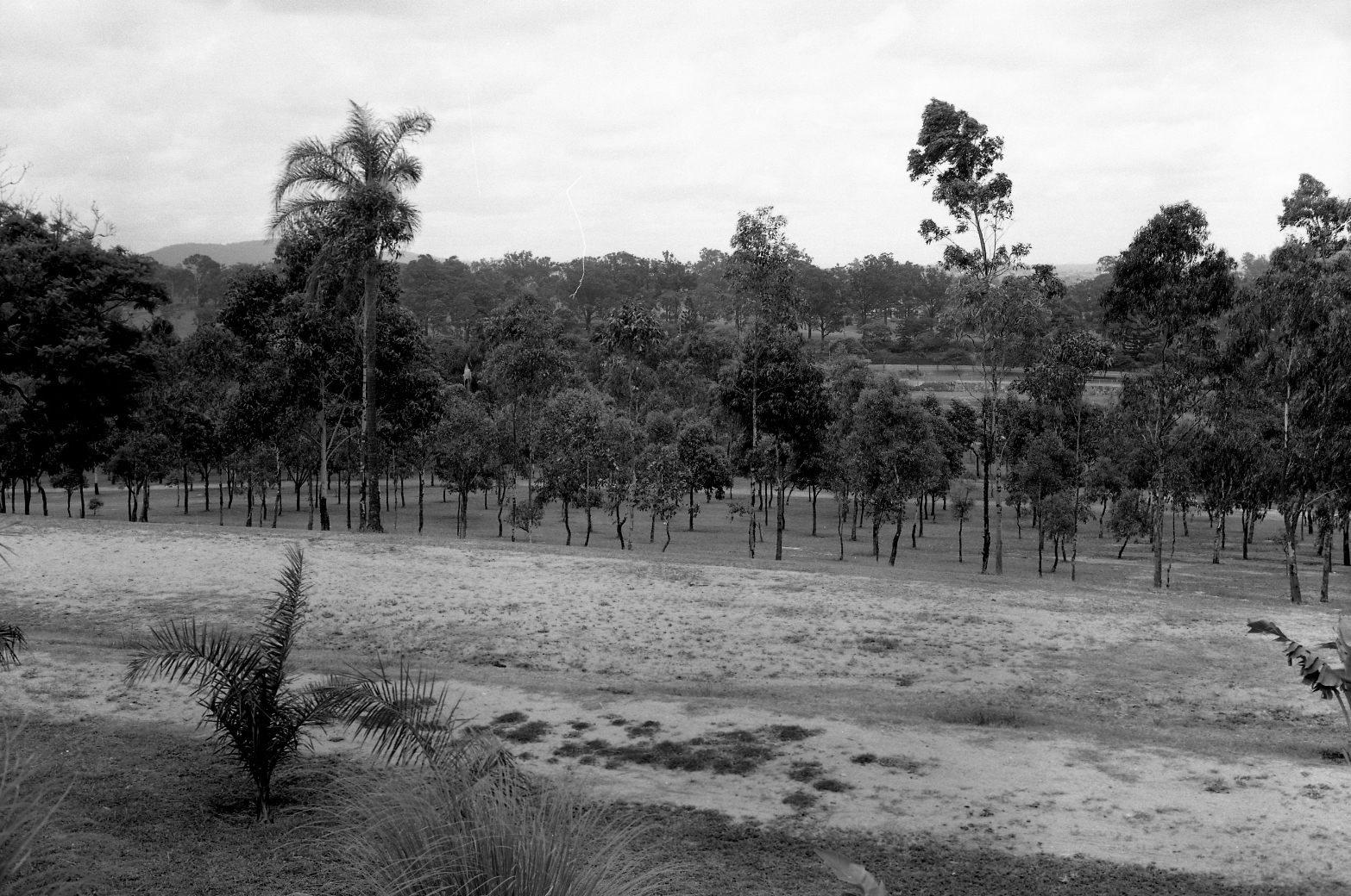 Victoria Park Development 1967