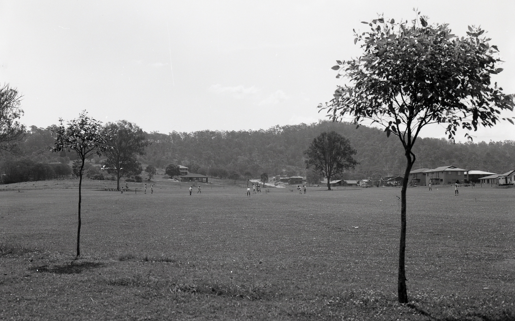 Wittonga Park - The Gap - 1976