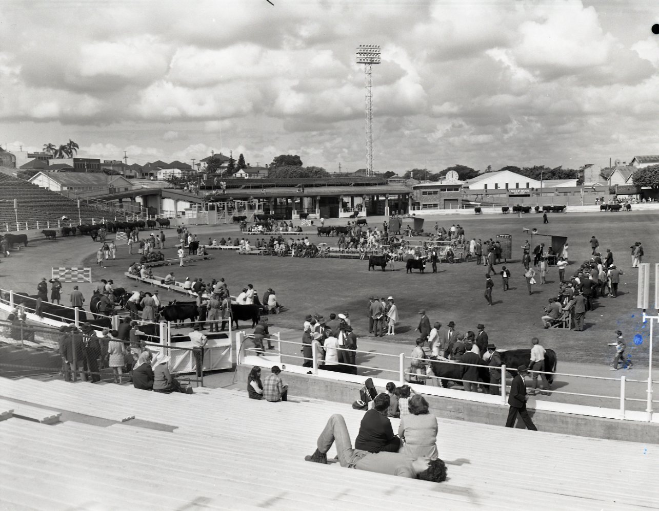 RNA Showgrounds - Bowen Hills. - Main Arena 1971