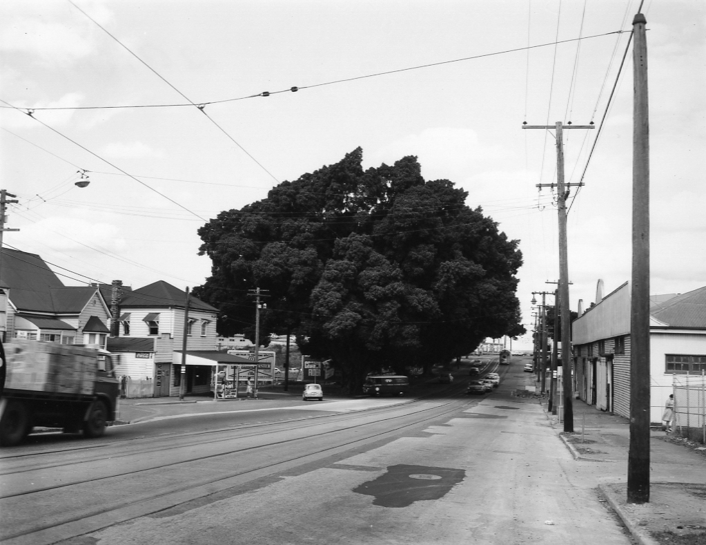 Kelvin Grove Road - Kelvin Grove - 1968