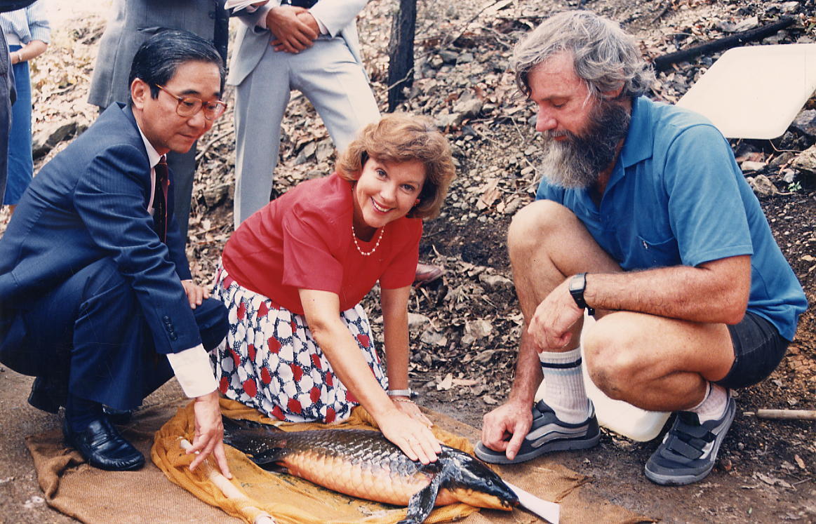 Lord Mayor Sallyanne Atkinson releasing Lung Fish - Mt Coot-tha Botanical Gardens