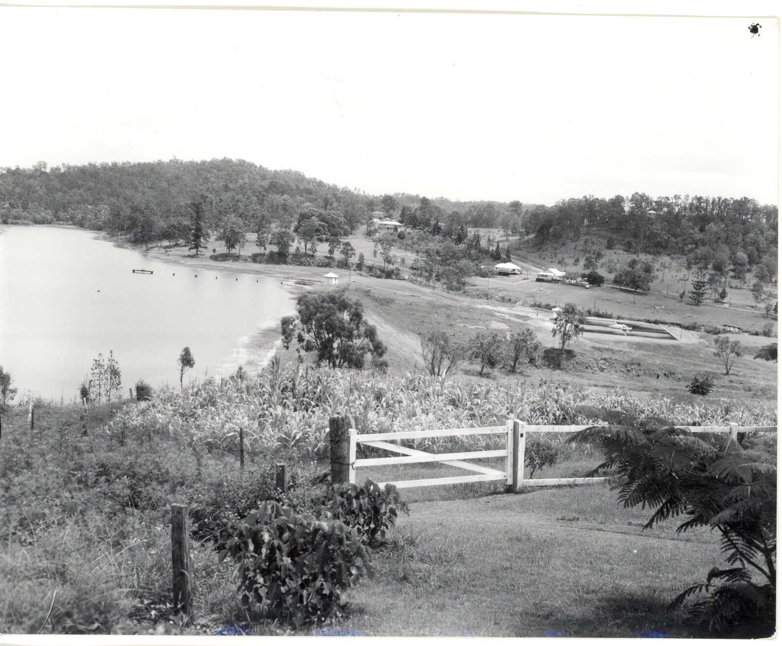 Enoggera Reservoir c1961