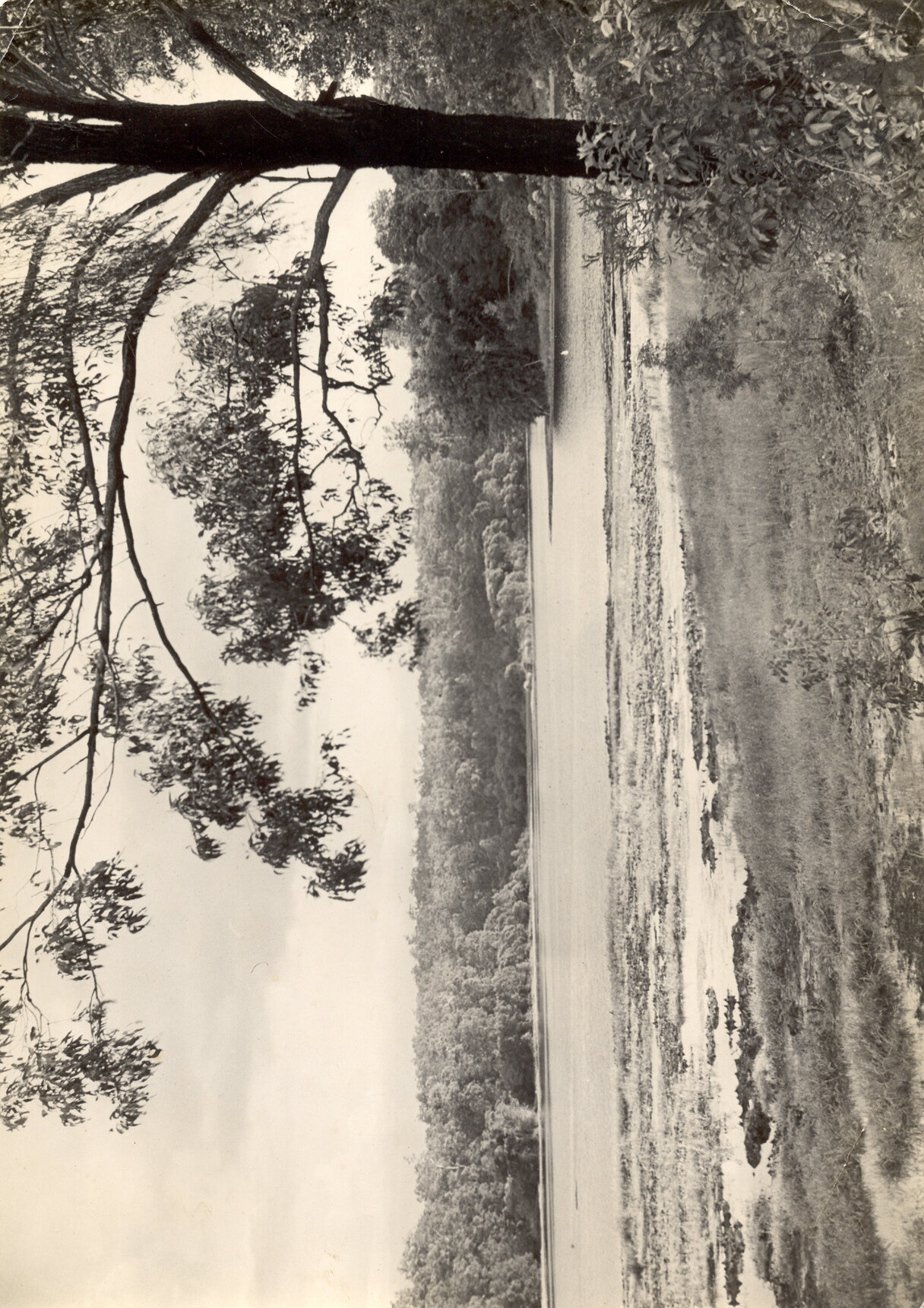 Enoggera Reservoir c1920