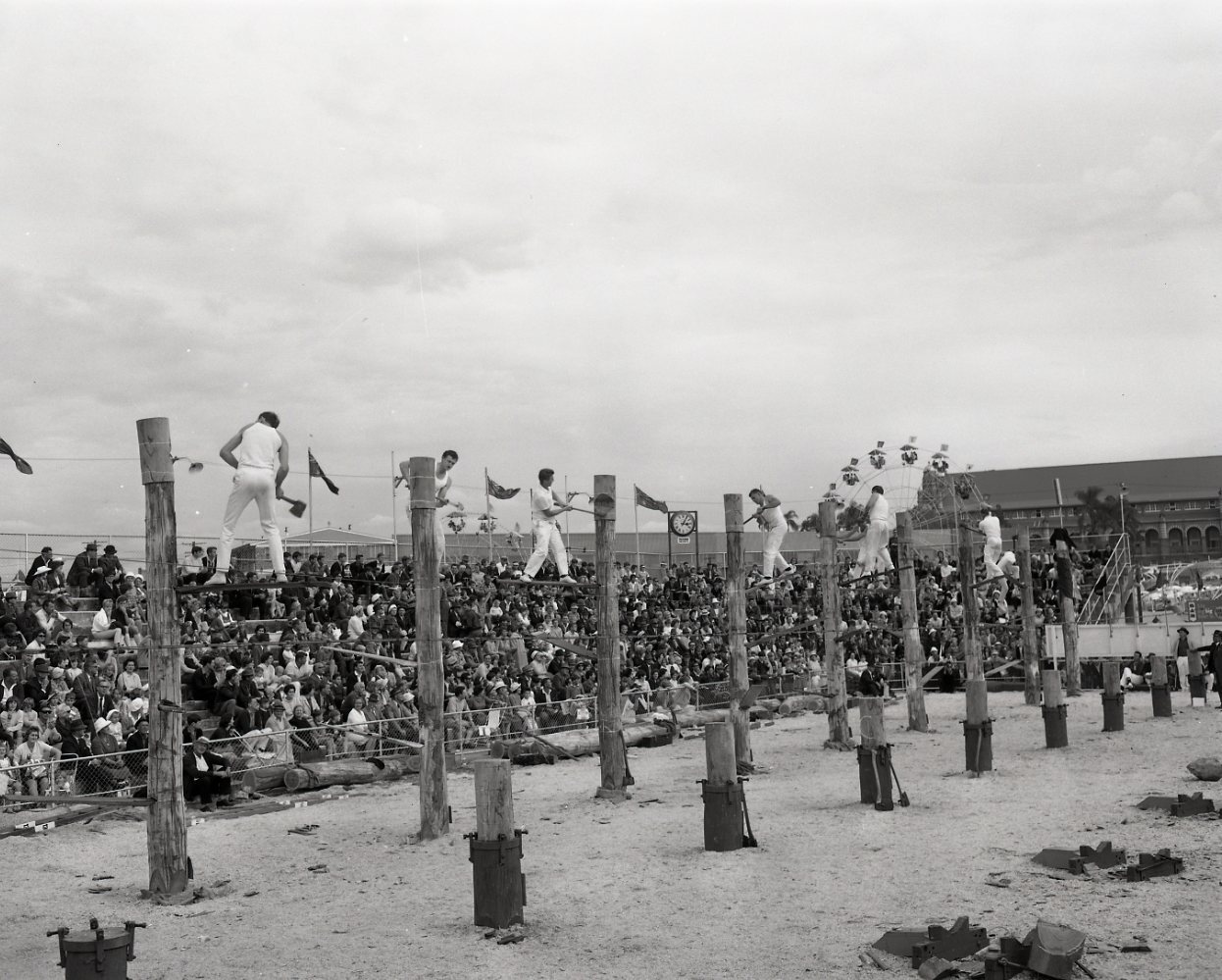 Wood Chop Event - EKKA 1968
