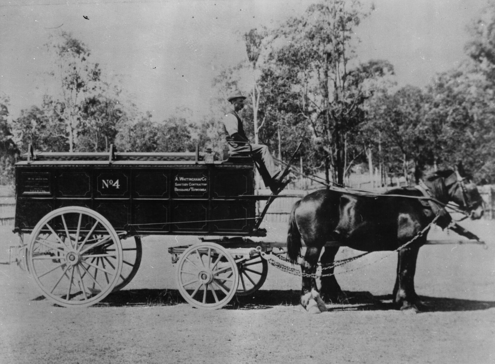 Horse Drawn Sanitation Wagon c1900