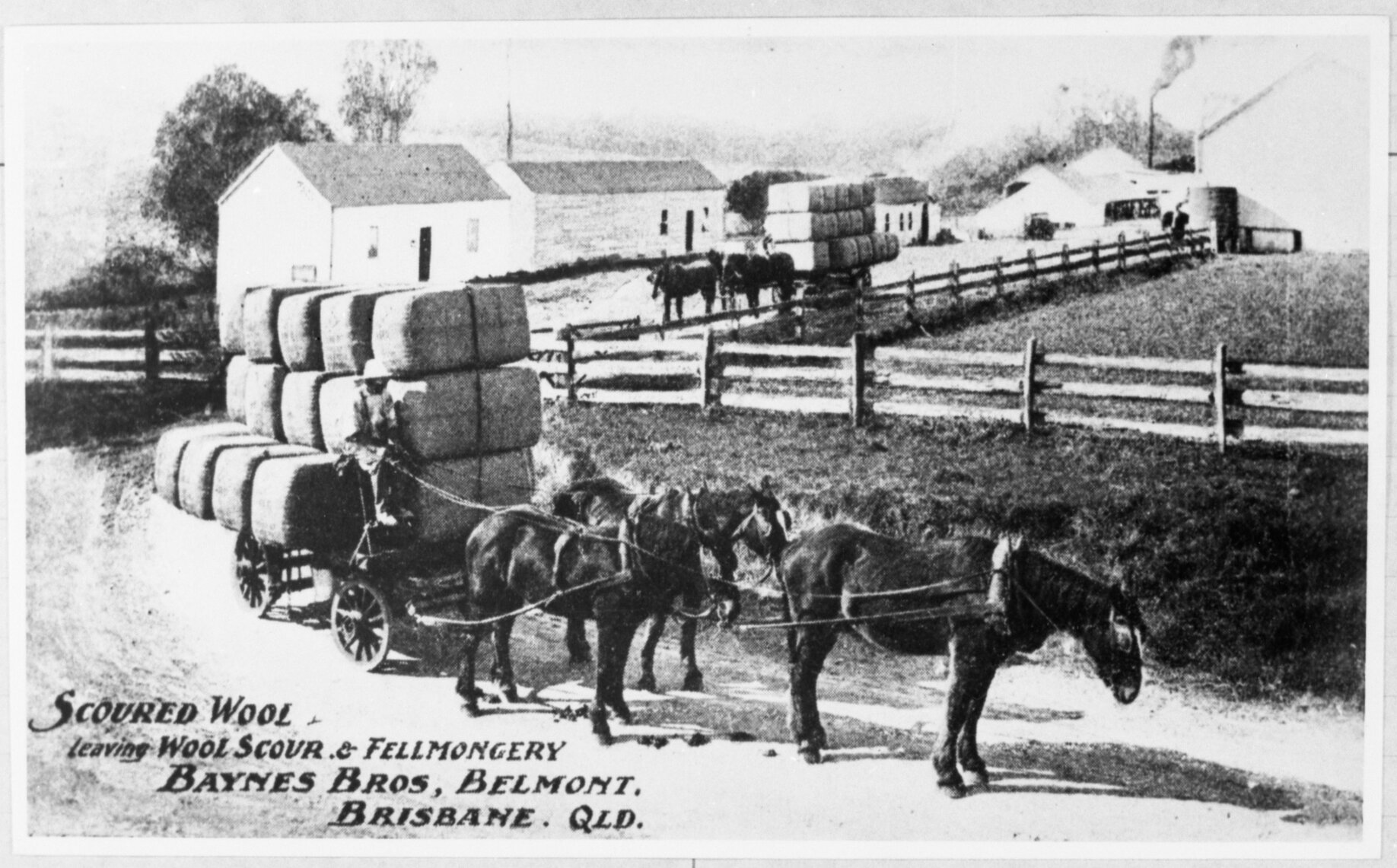 Horse-drawn wagon carting wool c1900