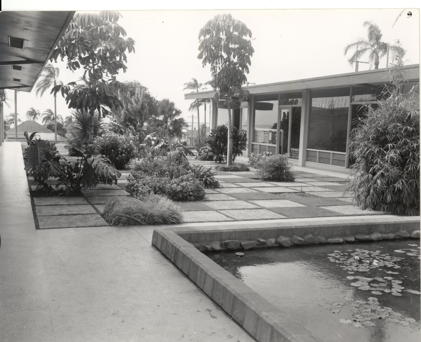 Wynnum Administration Centre Gardens - 1961