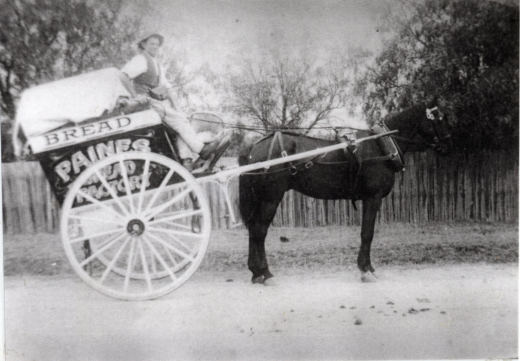 Paines Bread Factory Delivery Cart - Moorooka - c1920