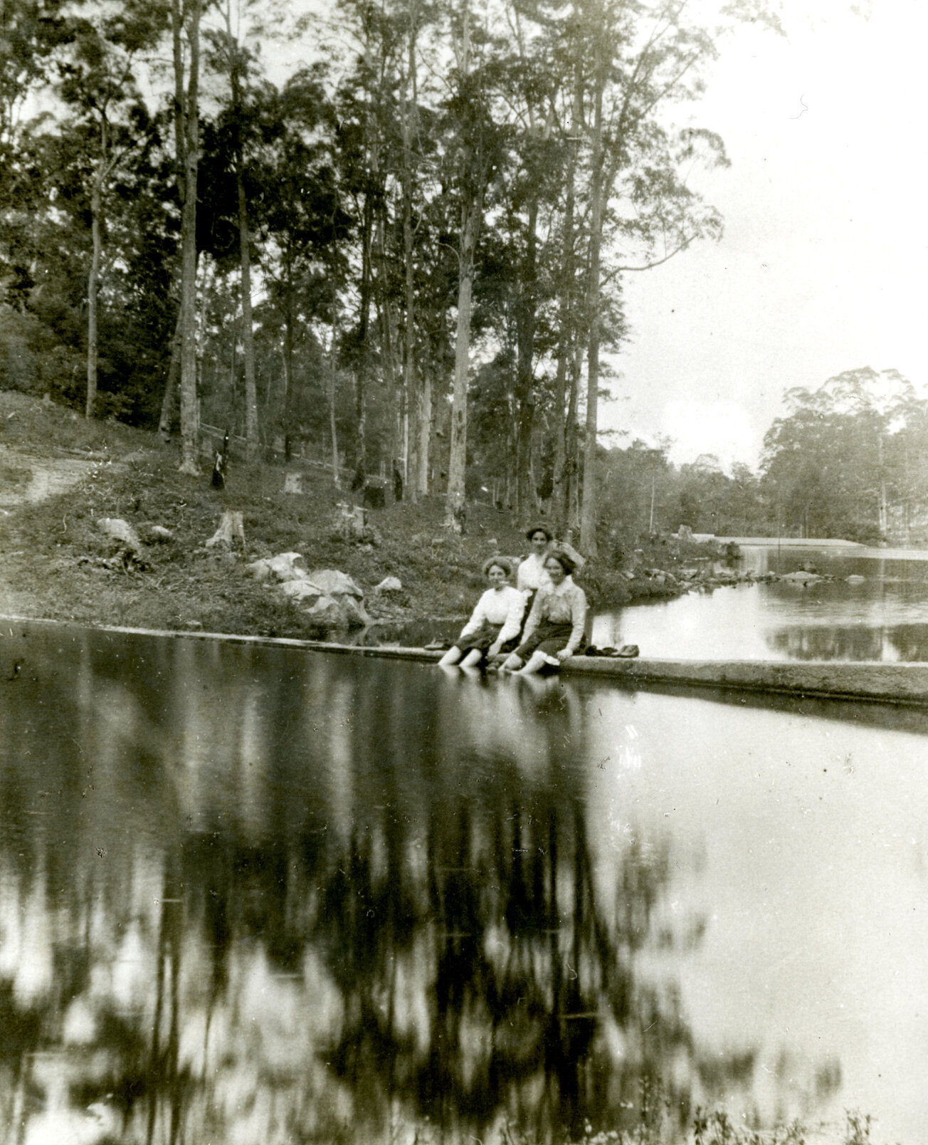 Mt Coot-tha Reserve - Old Dams - 1910
