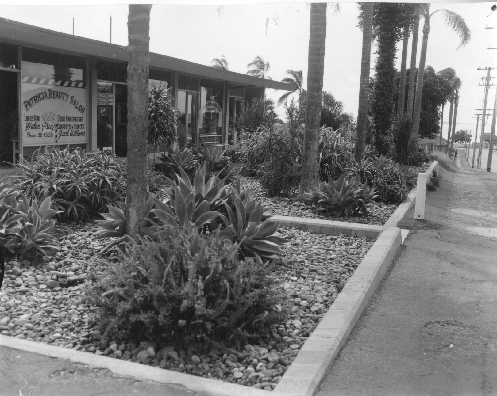Gardens - Wynnum Administration Centre - 1961