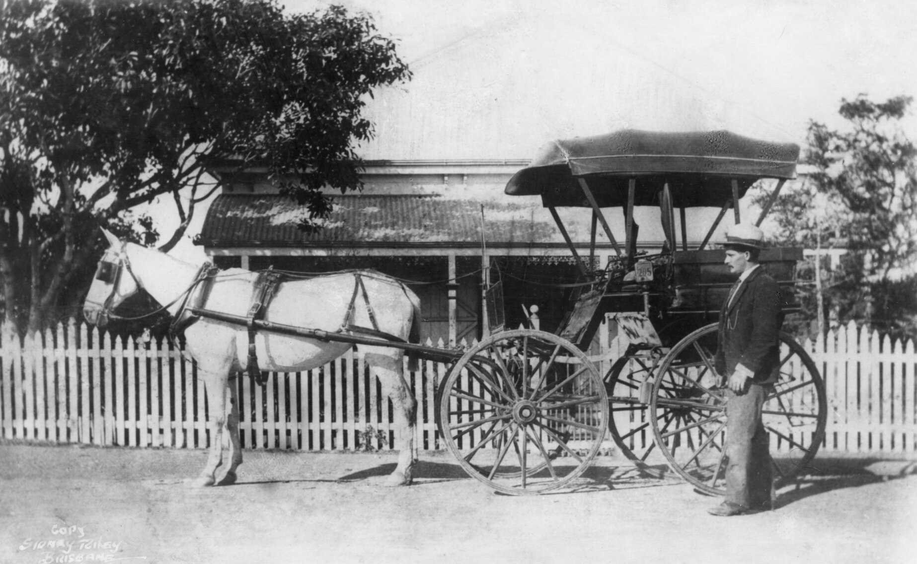 Frederick John Depper with Horse and Coach - St Lucia - c1920