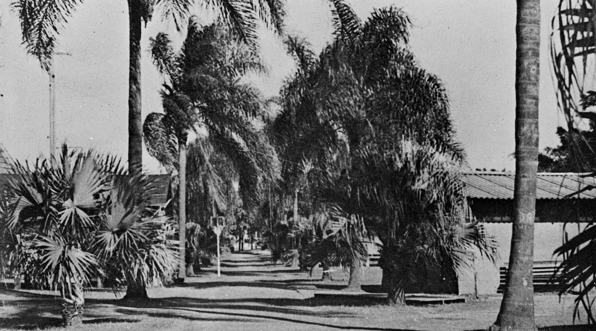 Ascot Park During World War II - 1944