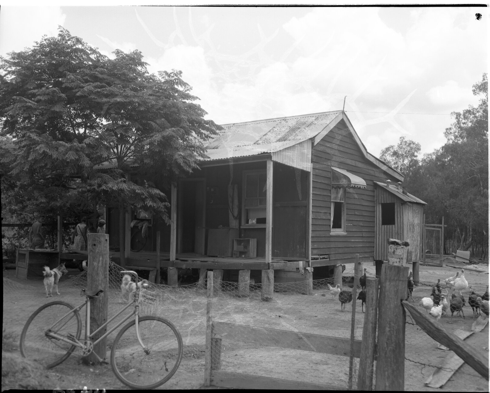 Old House - Gumdale - 1959