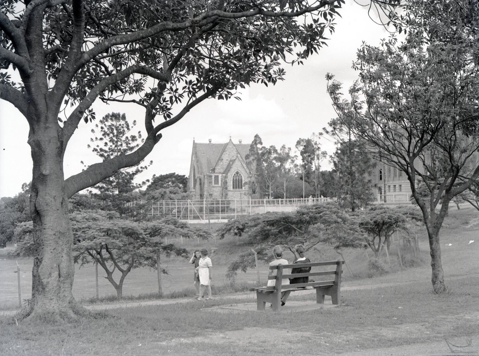 Musgrave Park - South Brisbane - 1950