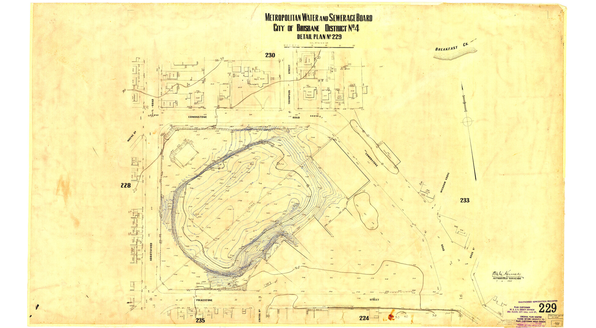 Detail Plan 229 