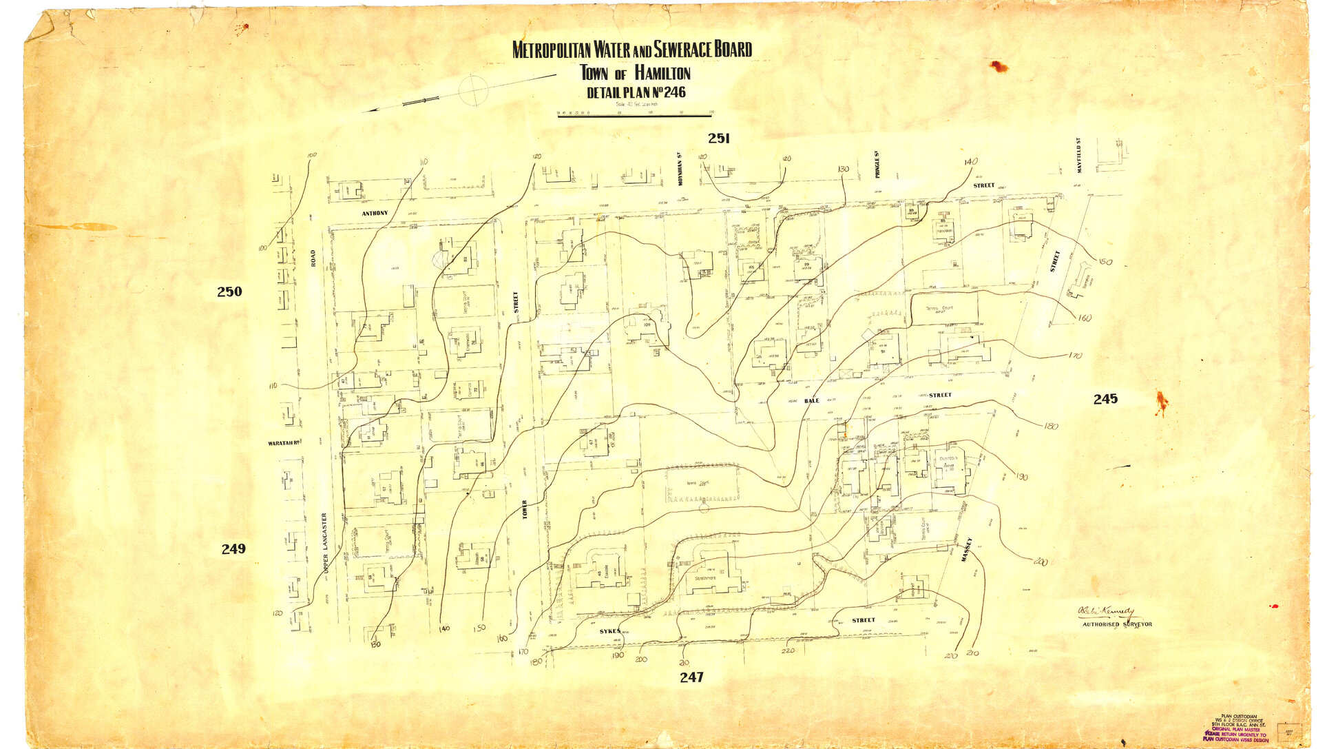 Detail Plan 246 