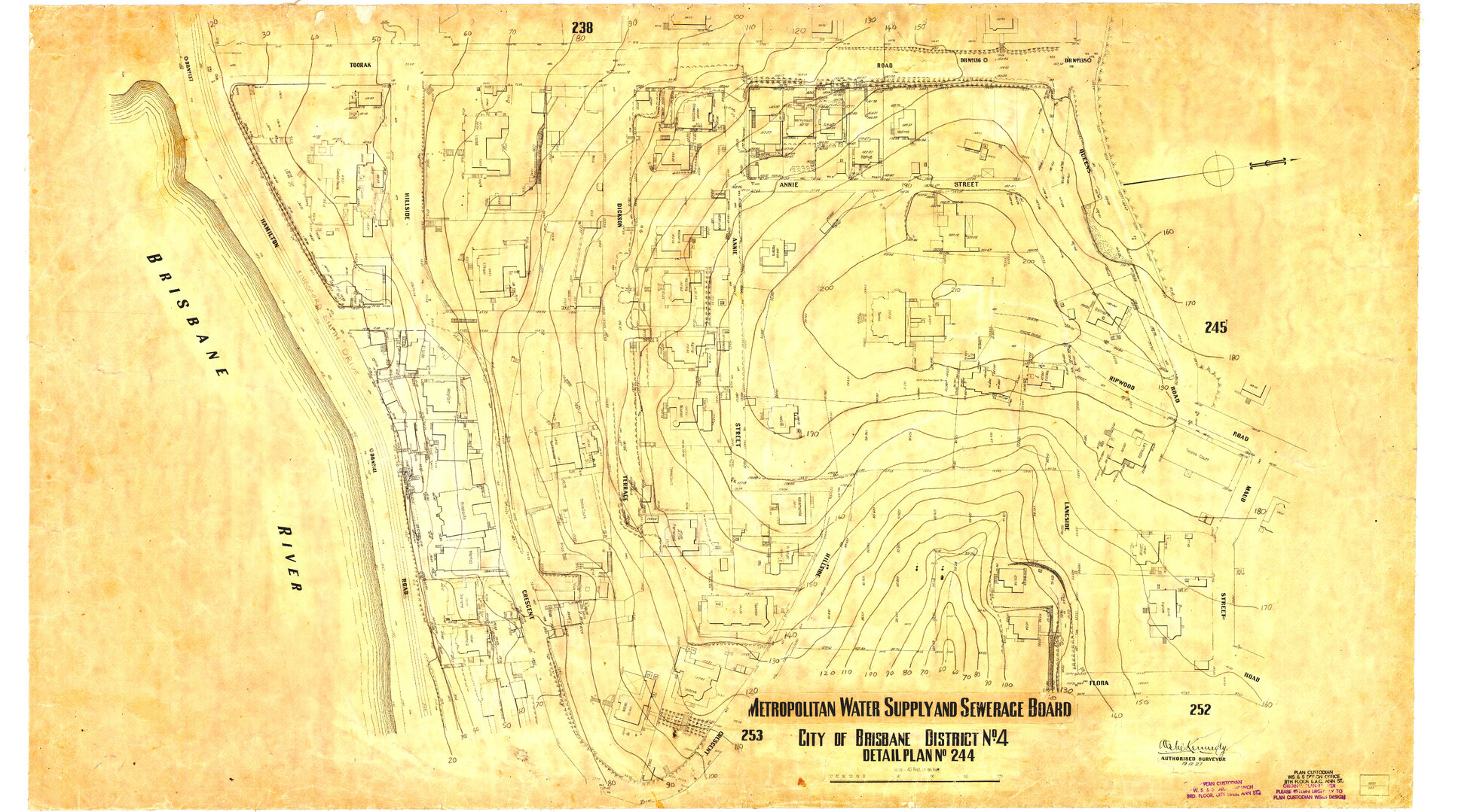 Detail Plan 244 
