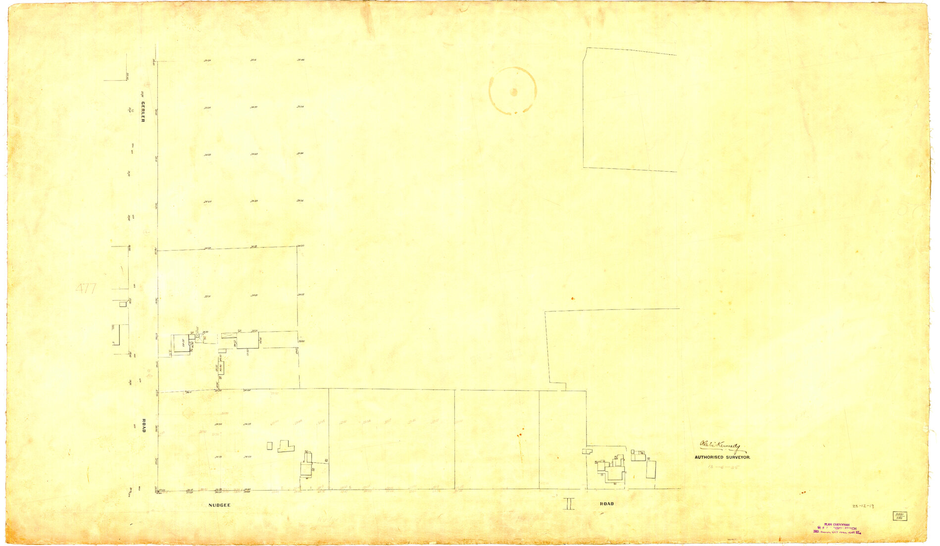 Detail Plan 483 