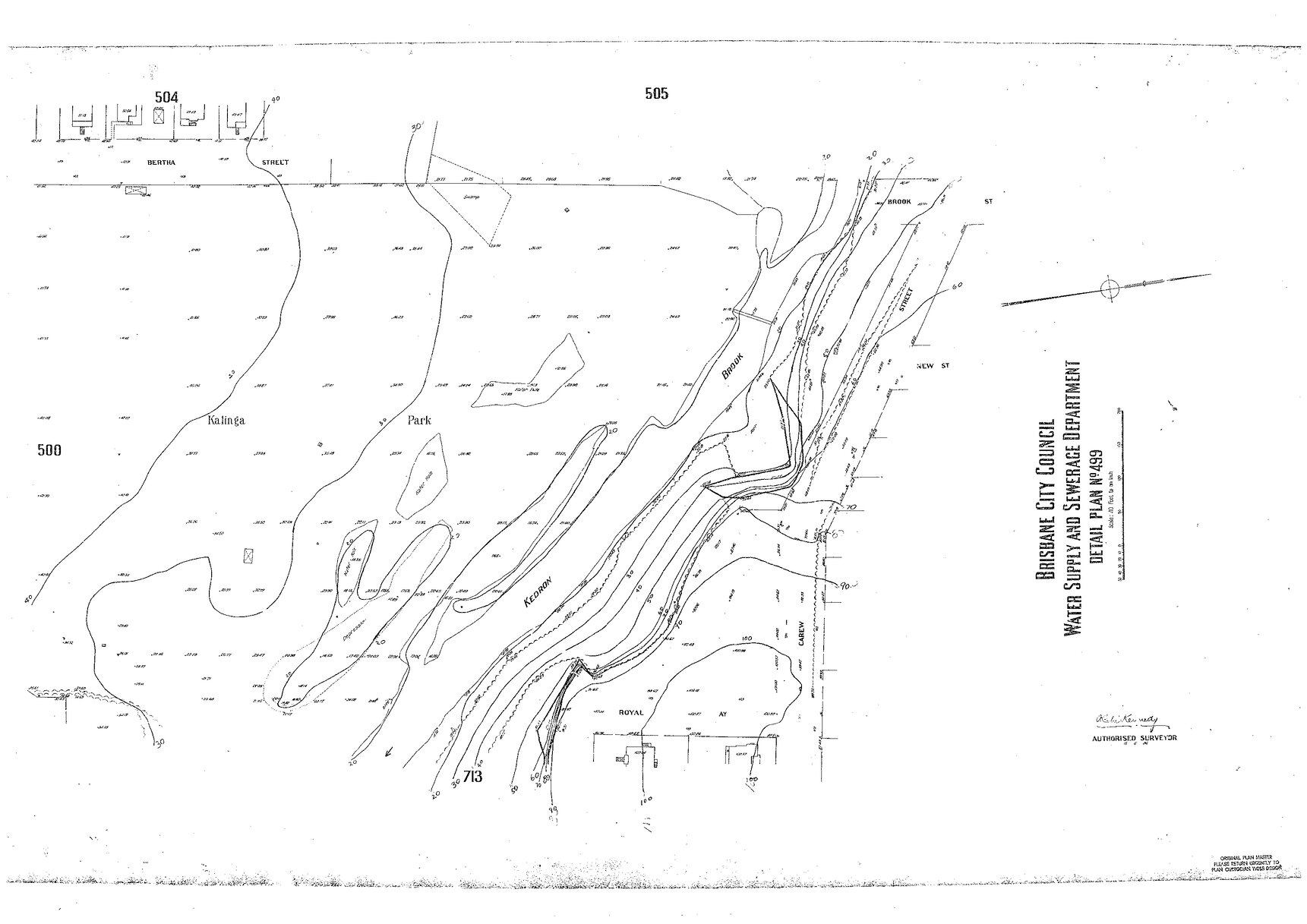 Detail Plan 499