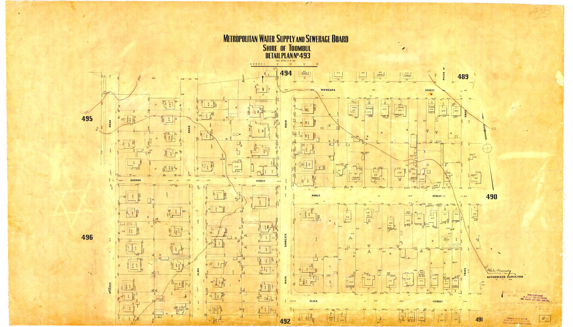 Detail Plan 493 