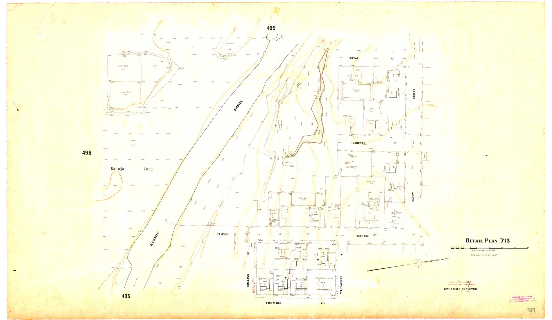 Detail Plan 713