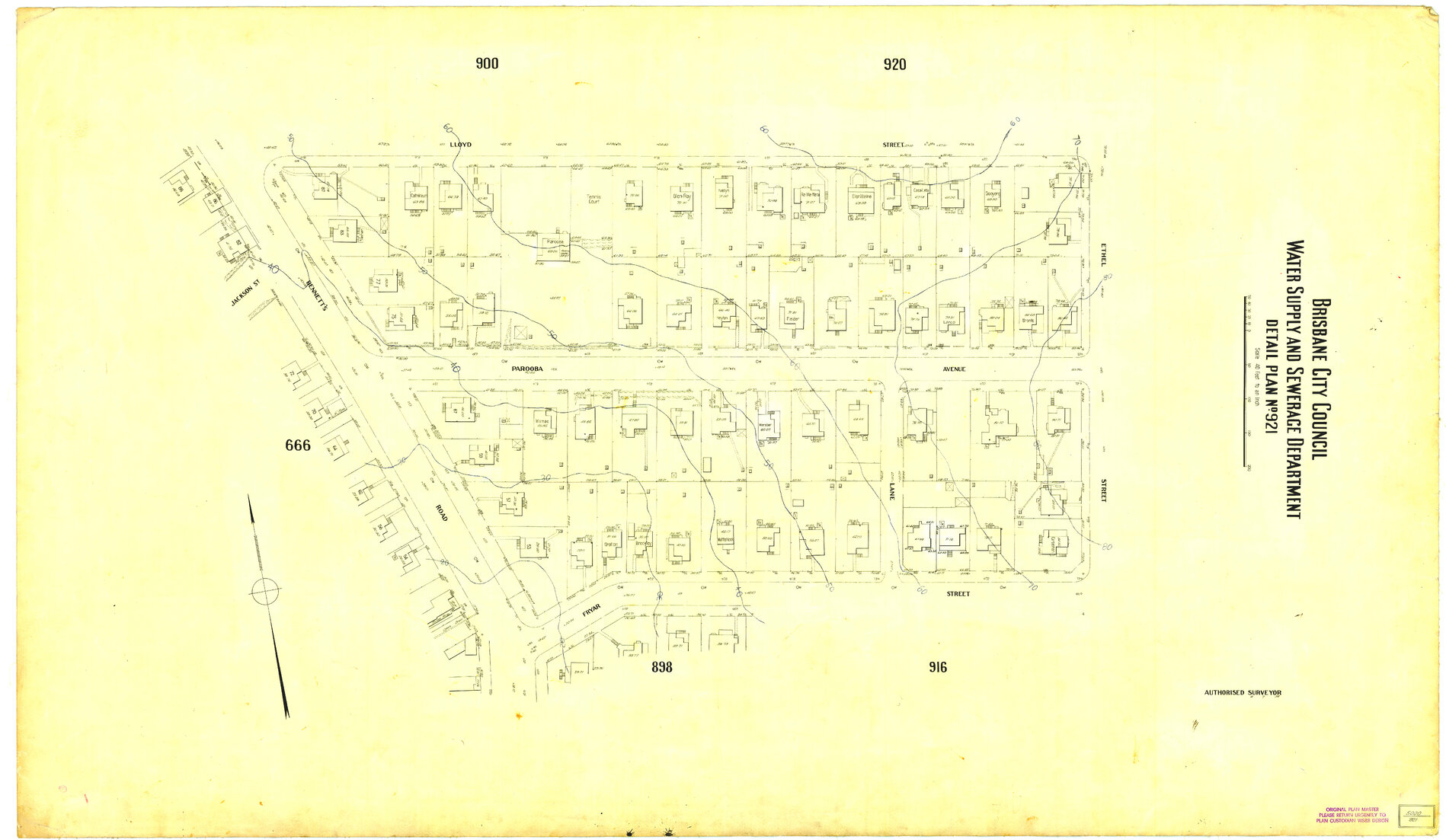 Detail Plan 921