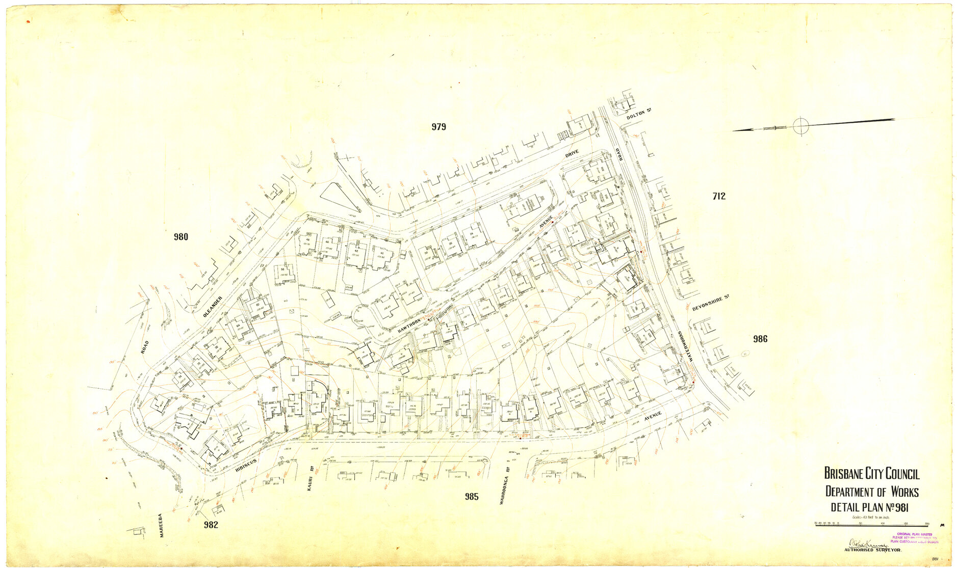 Detail Plan 981
