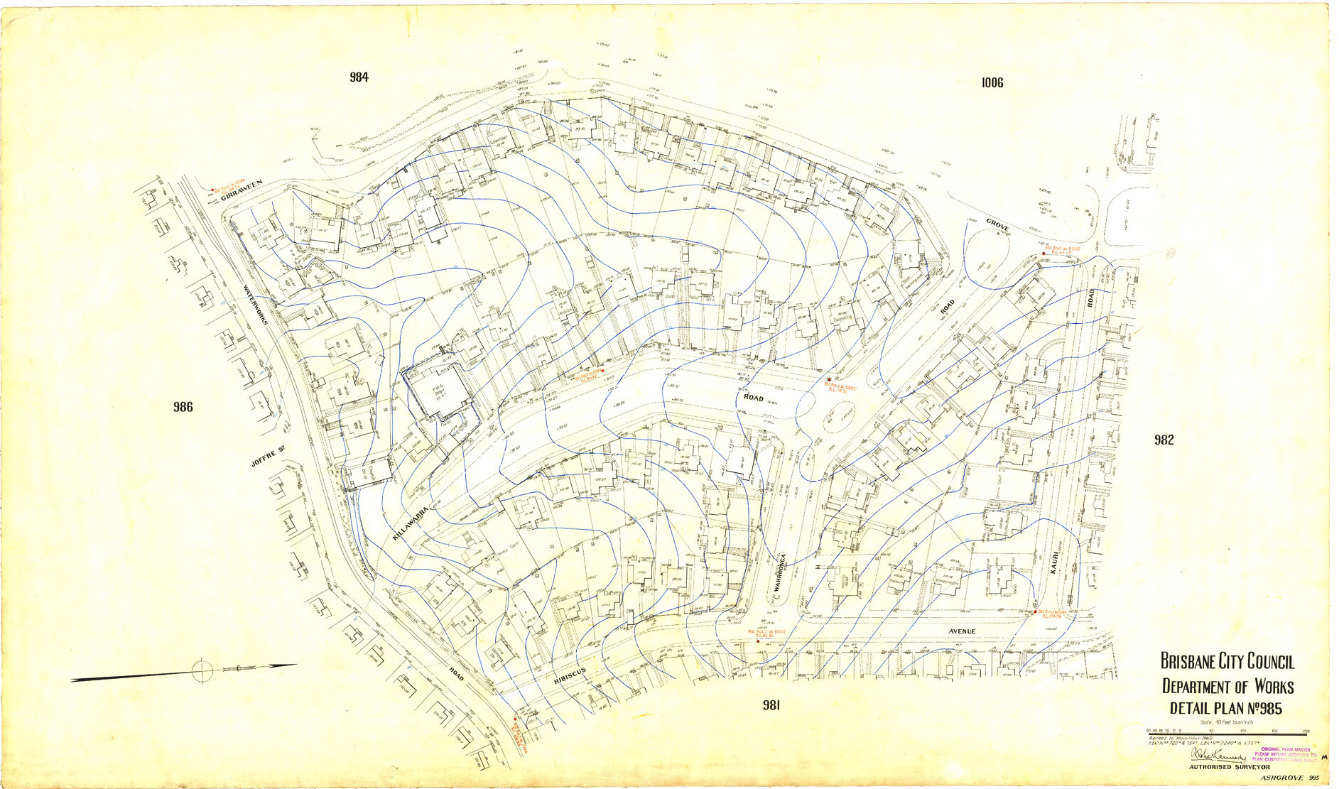 Detail Plan 985