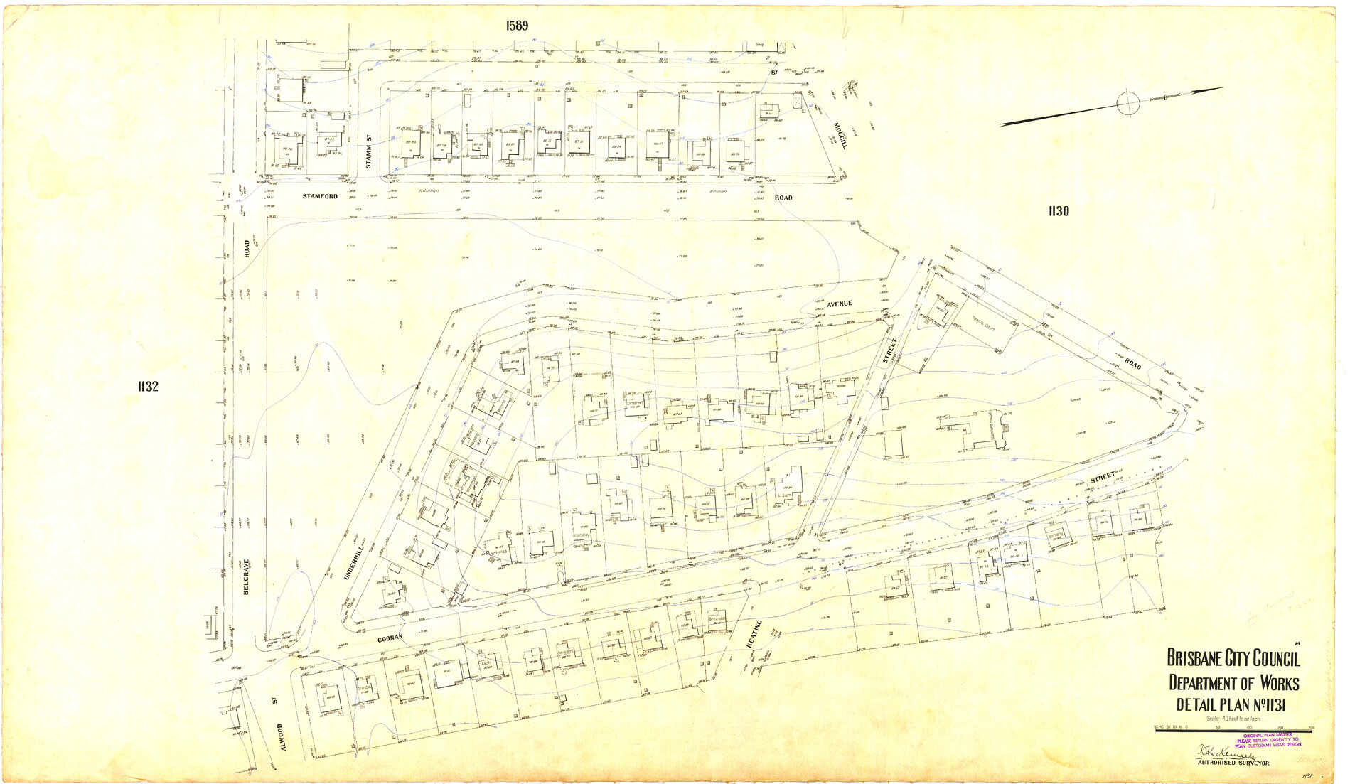 Detail Plan 1131