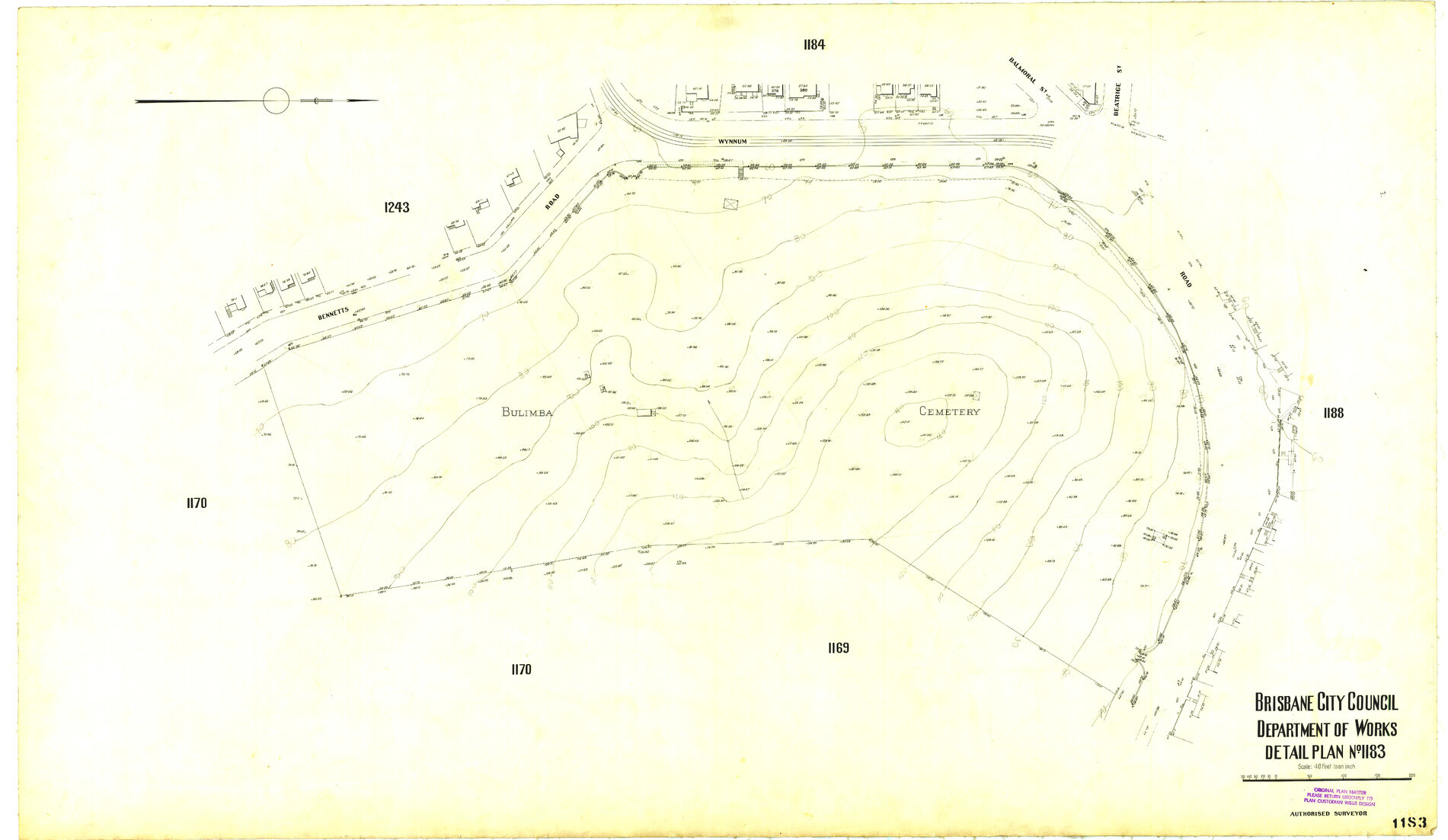 Detail Plan 1183