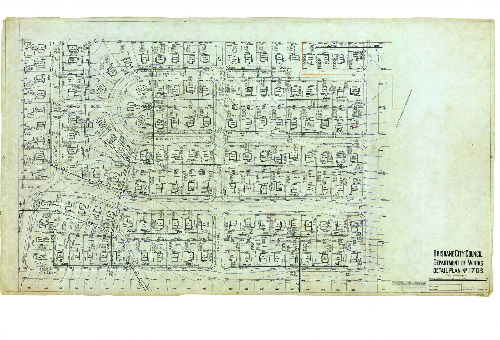 Detail Plan 1703