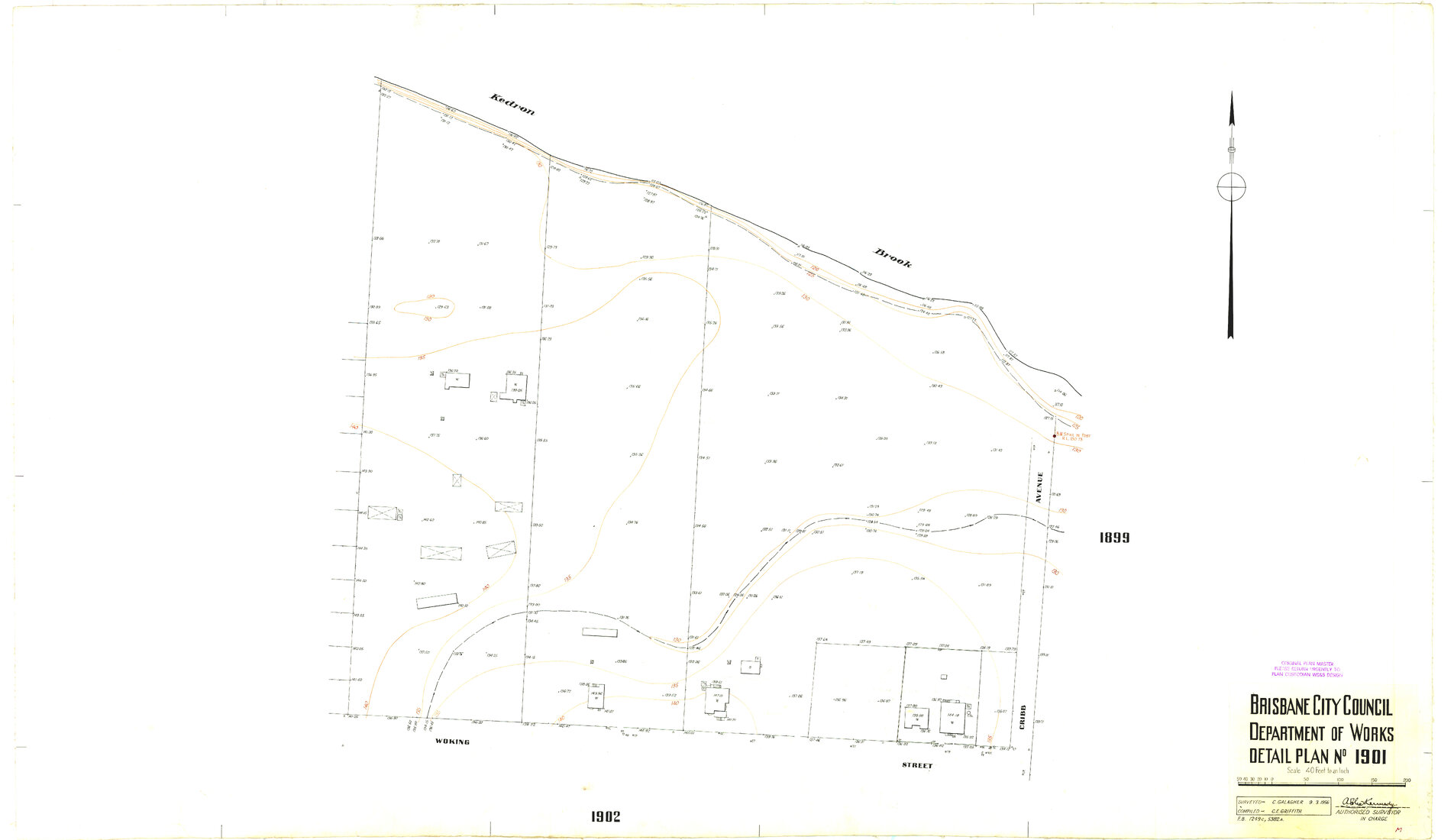 Detail Plan 1901