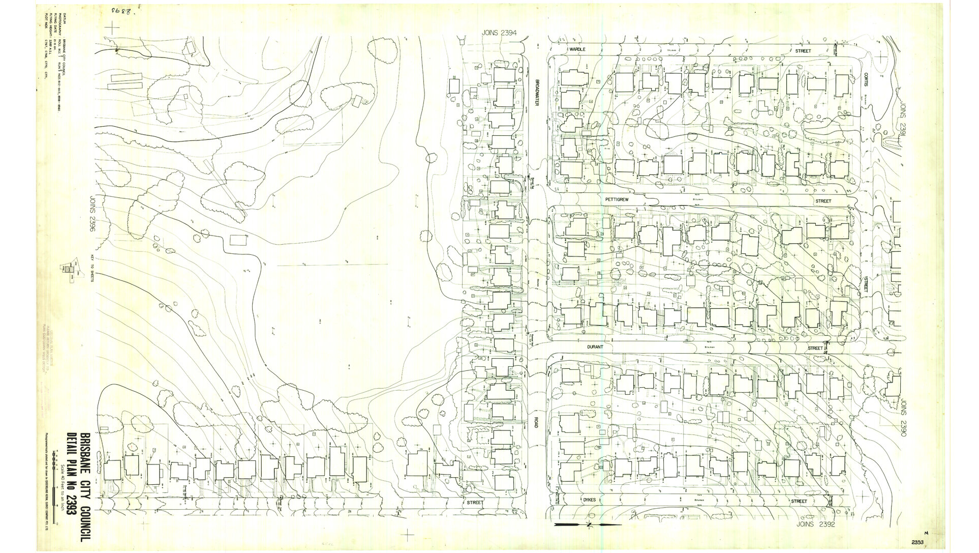 Detail Plan 2393