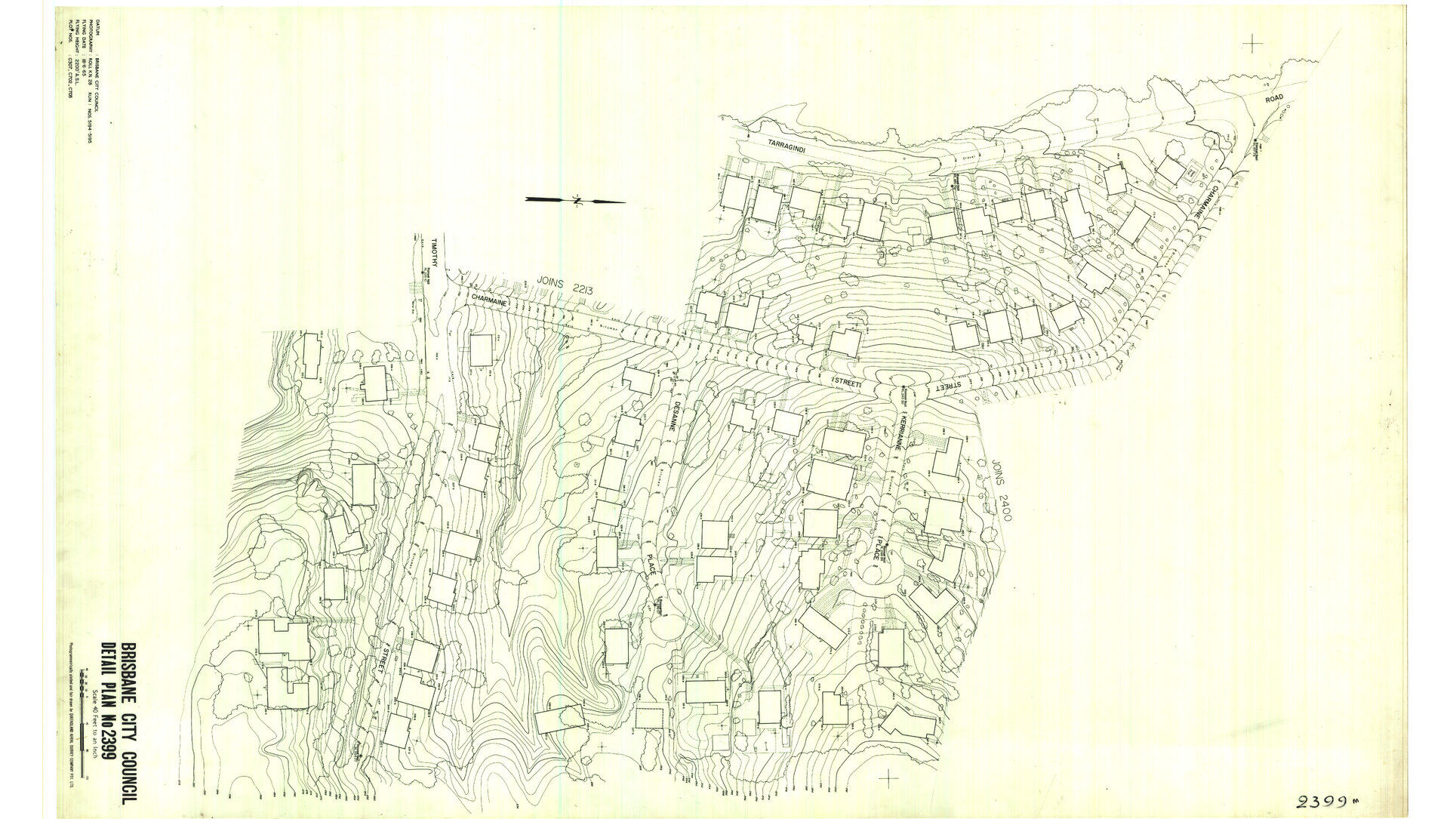 Detail Plan 2399