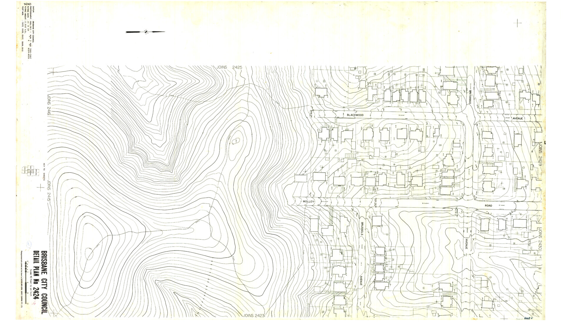 Detail Plan 2424
