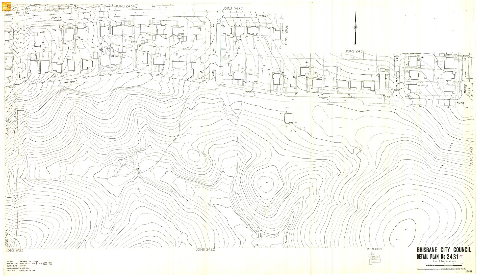 Detail Plan 2431