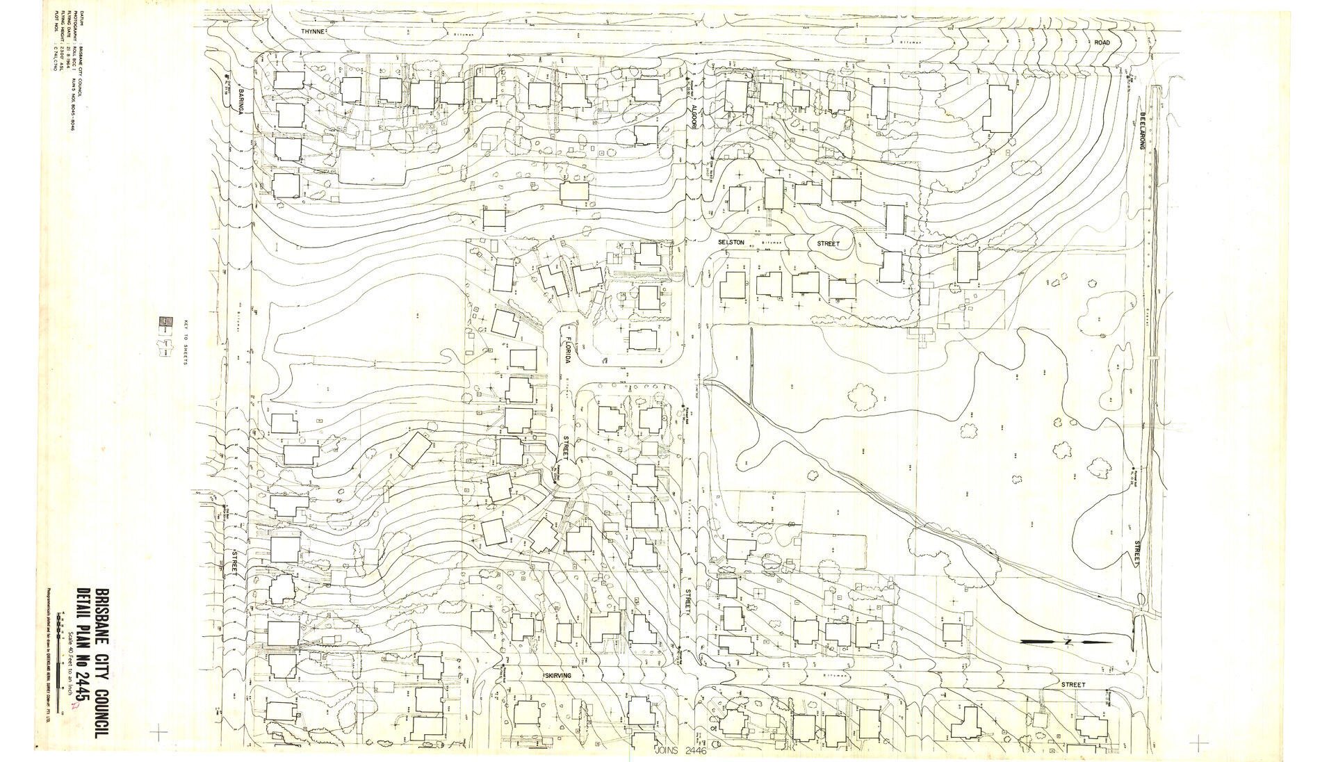 Detail Plan 2445