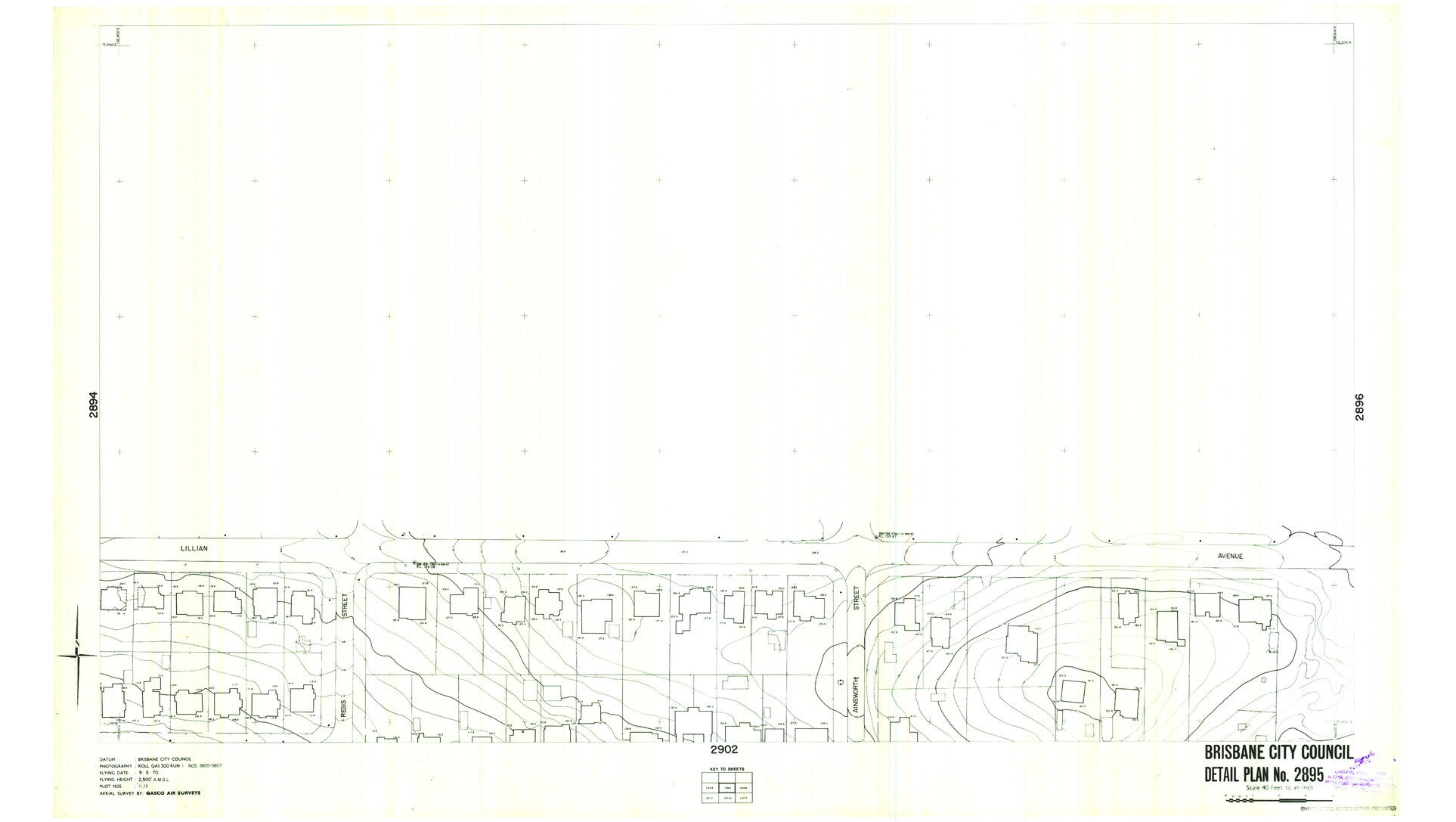 Detail Plan 2895